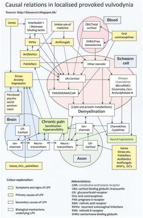 Explanation (aetiology / pathogenesis) of vulvodynia - what triggers vulvodynia