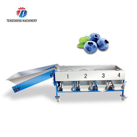 Image result for Fruit Sorting Machine