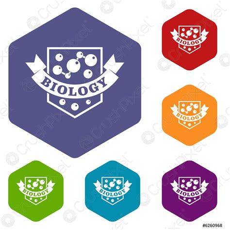 Image result for Evolution Vector