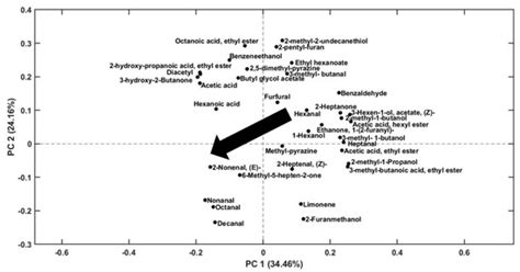 Exploring the Effect of Different Storage Conditions on the Aroma ...