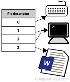 File Descriptor Linux 的图像结果