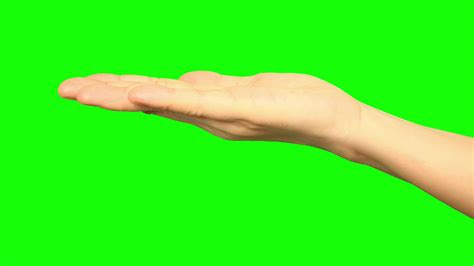 Camera Hand Greenscreen 的图像结果