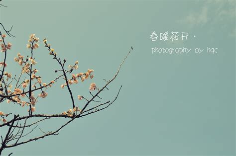 春暖花开（汉语词语） - 搜狗百科