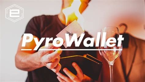 Image result for Pyro Wallet V2