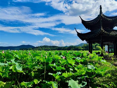 I Love China 的图像结果