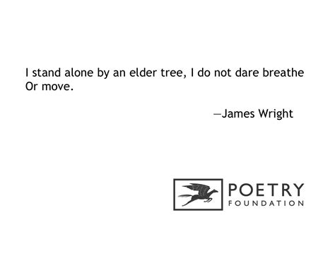 Beginning by James Wright : The Poetry Foundation | Poetry foundation ...