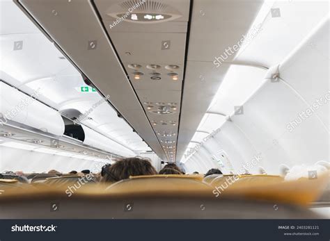 Economy Plane Seats 的图像结果
