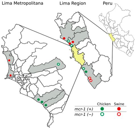 Occurrence and Genomic Characterization of mcr-1-Harboring Escherichia ...