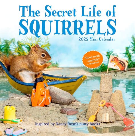 Amazon.com: The Secret Life of Squirrels Mini Wall Calendar 2025: 9781523524587: Rose, Nancy ...