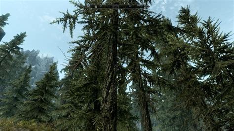 Guide:Skyrim Tree Settings - Step Mods | Change The Game