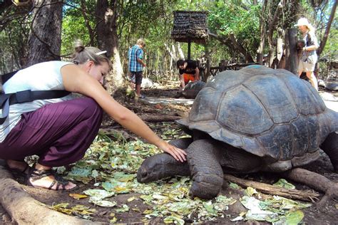 VISIT ZANZIBAR (2026) All You Need to Know BEFORE You Go (with Photos ...