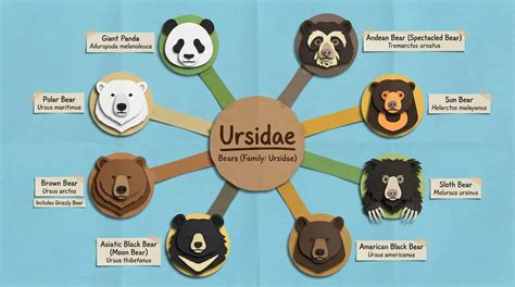 Algorithm Block Diagram Generator 的图像结果