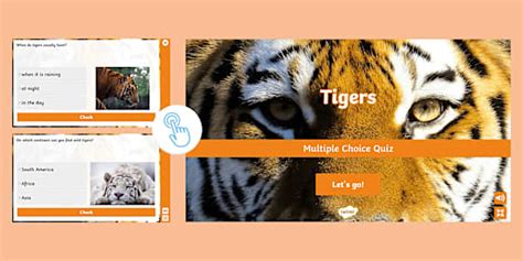 Tigerpython Programmieren Quiz 的图像结果