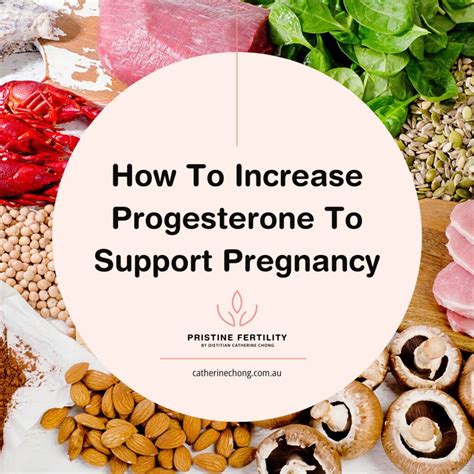 How to Increase Progesterone Naturally to Support Pregnancy - Pristine ...
