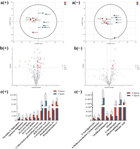 Proteomic and Metabolomic Profiling Reveals Alterations in Boar X and Y Sperm