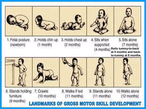 Image result for Physical Development Examples in Children