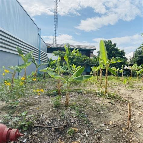 ซื้อ ขาย เช่า ที่ดินใหม่ และ ที่ดินมือสอง ใน ลาดกระบัง กรุงเทพมหานคร ...