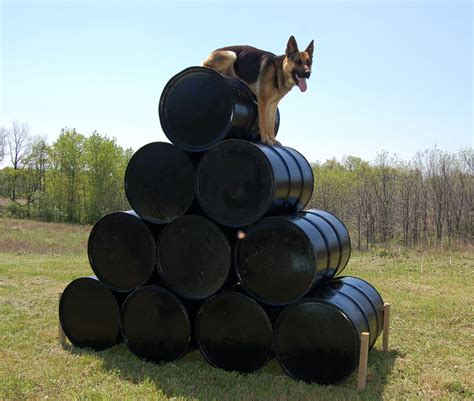 Trained Protection Dogs 的图像结果