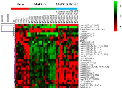 UPLC-HRMS-Based Plasma Metabolomic Profiling of Novel Biomarkers by ...