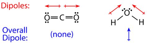 O2 Polar or Nonpolar 的图像结果