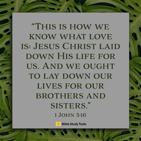 How Do We Know What Love Is? (1 John 3:16) - Your Daily Bible Verse ...