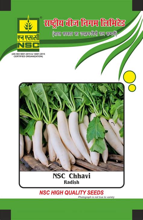 NSC Radish Chavvi Open-pollinated Variety, 25 gram Seed Pouch