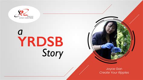 School News | York Region District School Board