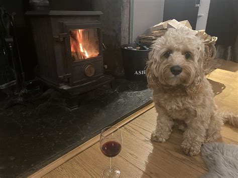 THE HIDEAWAY EXPERIENCE (Dundee, Scotland) - Ranch Reviews, Photos ...