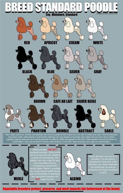 Poodle Coat Color Chart at Luke Earsman blog