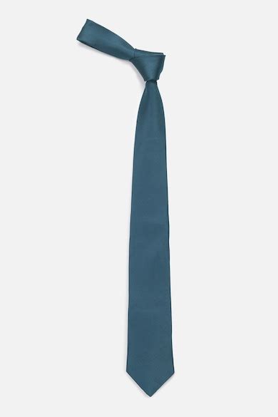 Buy Men Teal Textured Formal Tie Online - 40104715 | Allen Solly