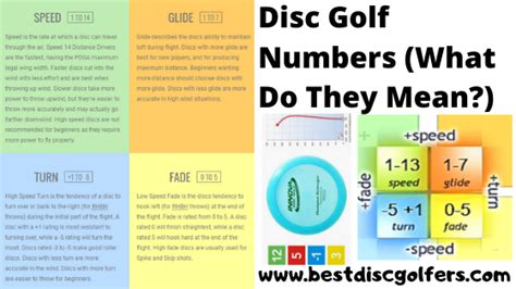 Disc Golf Numbers Explained 的图像结果