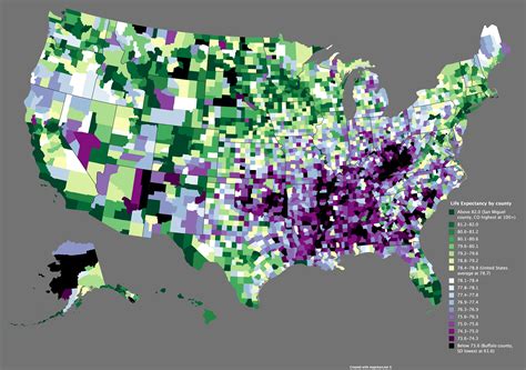 Image result for Life Expectancy by County Map