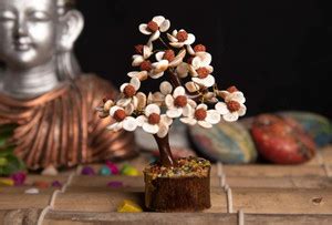 VIBESLE Gomti Rudraksha Tree for Crystals and Healing Stones Gifts Gem ...