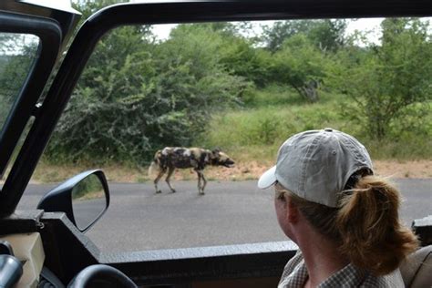 Komatipoort Pictures - Traveller Photos of Komatipoort, Mpumalanga ...