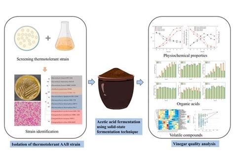 Isolation and Characterization of a Thermotolerant Acetic Acid Bacteria ...