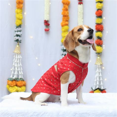India's Best Pet Clothing Online Shopping Store-Pawgy Pets