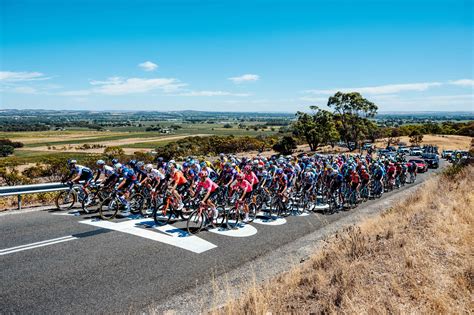 Tour Down Under Men - Gallery - Team Picnic PostNL