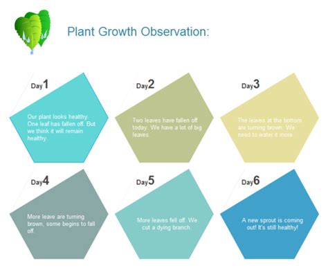 Plant Growth Observation Chart Examples - Edraw