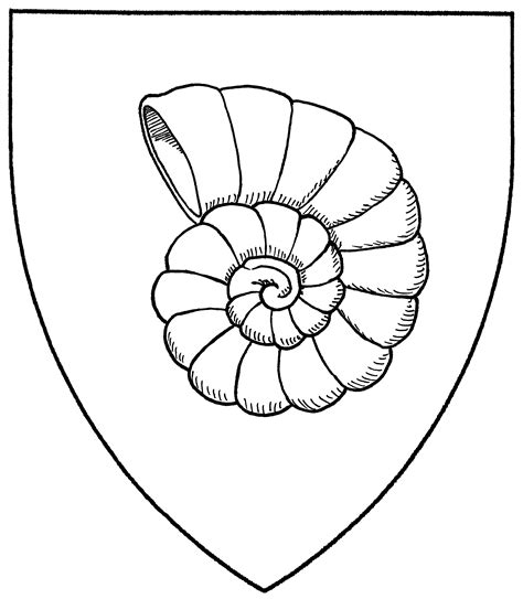 Image result for Snail Shell Drawing