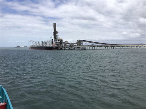 GLADSTONE CBD TOURS COFFEE CRUISE (2026) All You Need to Know BEFORE ...