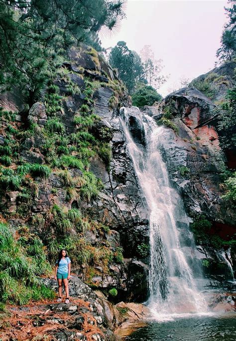 ECO WILD GLAMPING BAMBARAKANDA (Kalupahana) - Campground Reviews ...