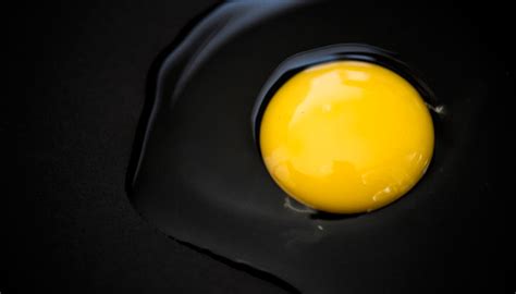 Don’t Pay Attention to These Fitness Myths | FITPASS