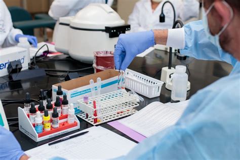 Image result for Lab MLT