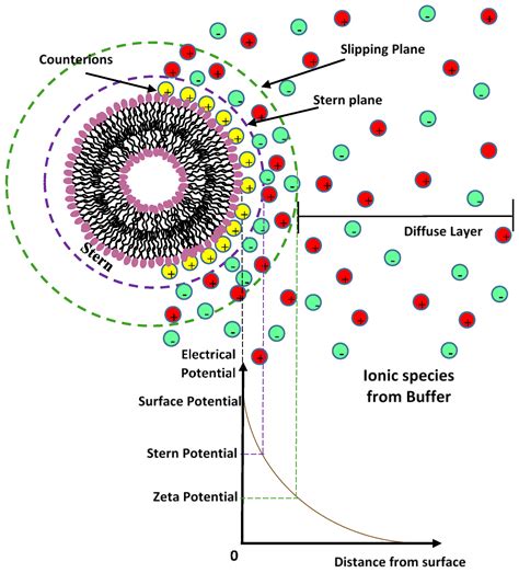 Soft Interaction in Liposome Nanocarriers for Therapeutic Drug Delivery