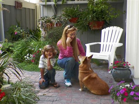 Picture Gallery - The Dogs' K9 Behavior Savior & Best in Pet Care