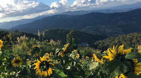 COOLDOWNS RESORT (Chiang Mai Province/Mae Rim, Thailand) - Hotel ...