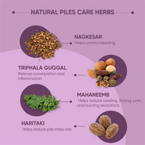 Buy Piles Capsules for Effective Relief | Dr. Vaidya