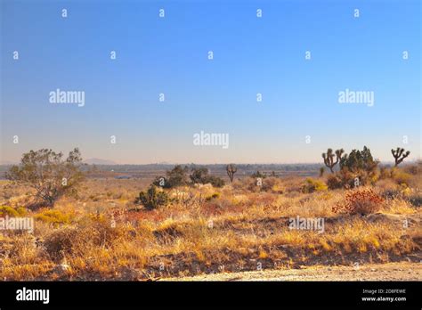 California 的图像结果