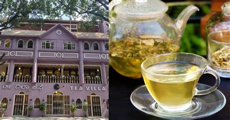 Tea Villa Cafe in Church Street Bangalore for Over 60 Varieties of Teas ...