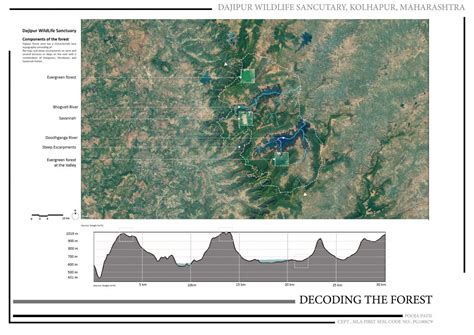 Decoding the forest | CEPT - Portfolio